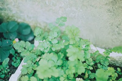 女人靠自己的励志霸气说说(97句)