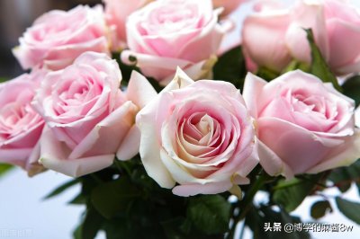 ​最近抖音上很火的十句短句。 它们非常真实、精确和经典