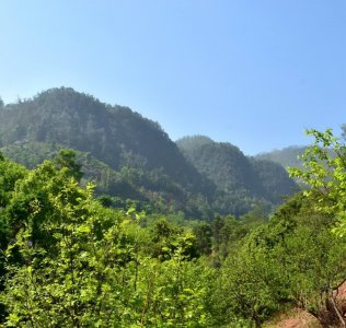 ​白蛇与青蛇的故事