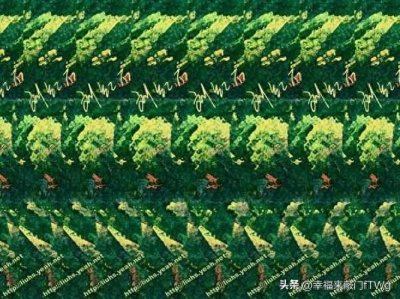 ​三维世界奇妙多多