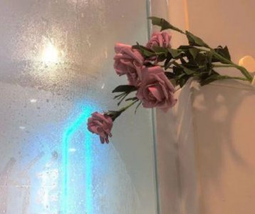 ​早安正能量语句48条