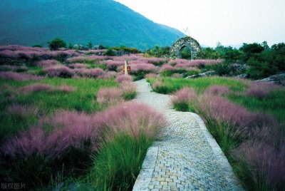 ​简单快乐生活的心态句子，开心每一天