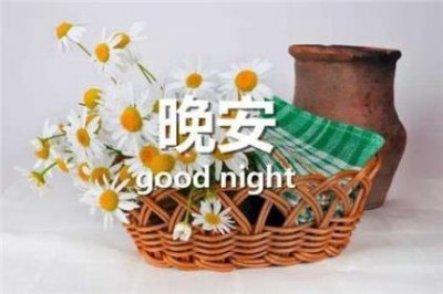 ​青春励志的句子50字左右 关于青春的句子励志八字