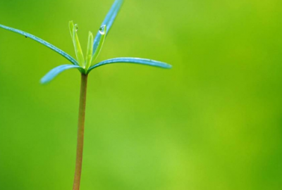 ​激励上进正能量句子 励志短句霸气致自己76句