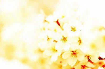 ​初三学生中考拼搏的励志短语 初三中考加油励志语录(精选78句)