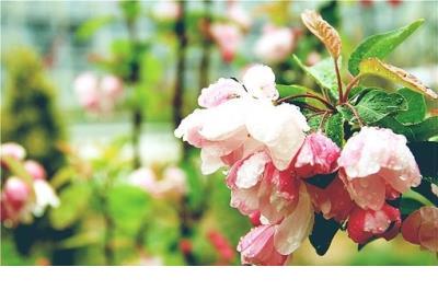 为自己加油打气给油的励志话语