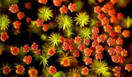 干净简短的励志句子