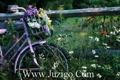 ​土味情话最暖心短句女生卖萌撒娇的句子(精选35句)