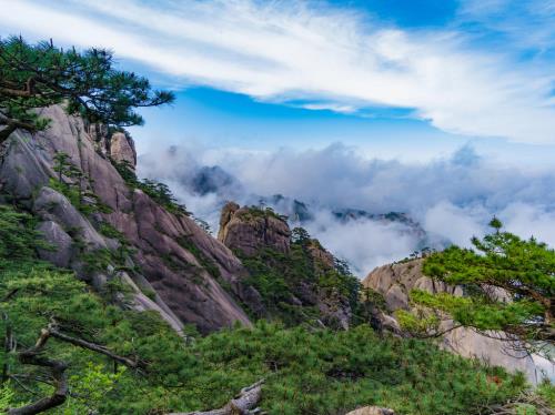 让人感动的句子爱情