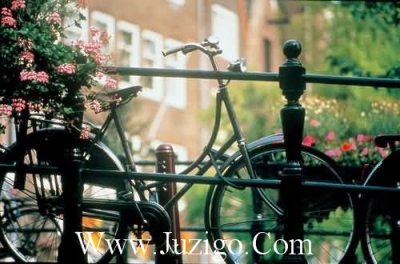 ​五一励志语录五一劳动节励志语录(精选23句)