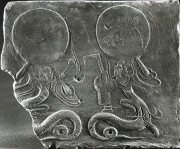 还记得1983年蛇灾吗?洪水让蛇无家可归,农民以为有天灾发生