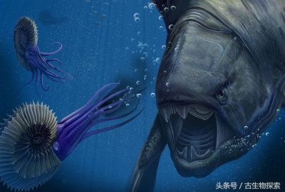 邓氏鱼:泥盆纪之王