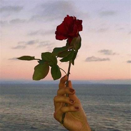 想你牵挂你的句子