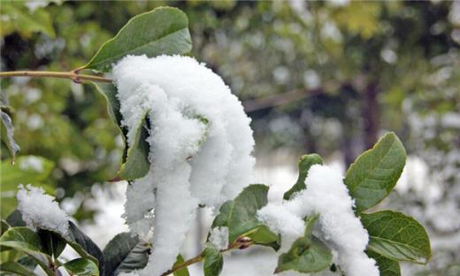 太霸气了!谁看谁服