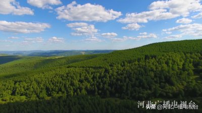 一个名字,一片林!关于塞罕坝我们必须知道的故事……