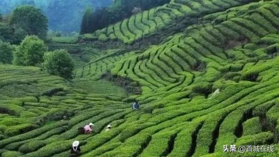 开建超四年后,投资超270亿的宜宾天宫山现状如何?