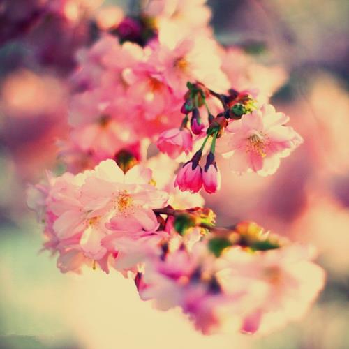 霸气高冷的短句