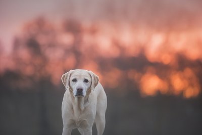 ​生活中突然情绪崩溃的句子 伤感文案