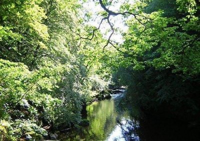 ​好的励志句子