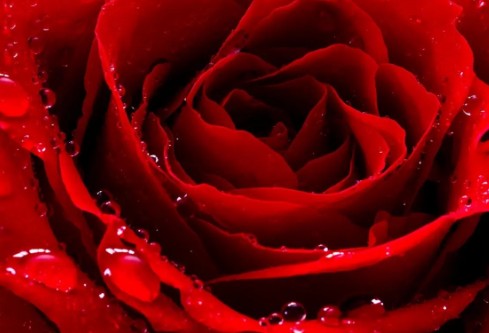 1713088722670521.png image.png