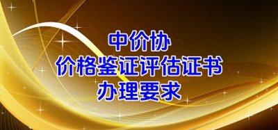 2024年中价协价格鉴证评估资质新政策解读