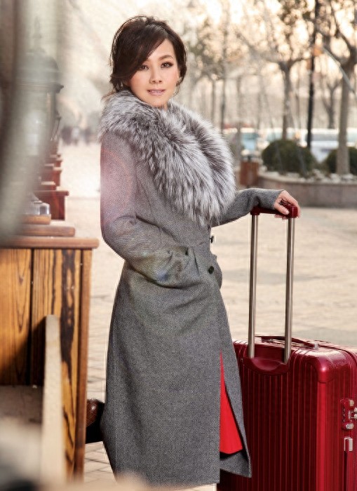 内地著名女演员何琳