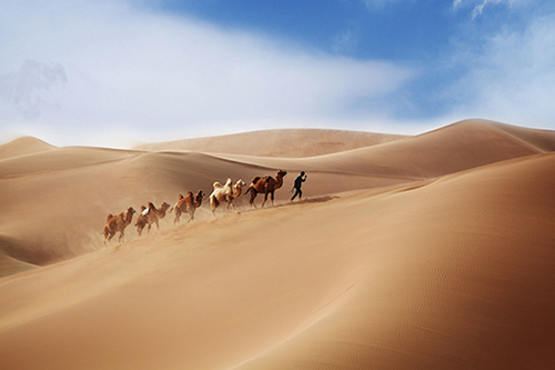 2025年元宵节客户祝福语52句