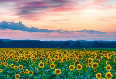 ​绝望无能为力的句子 恨现在的自己无能为力(89句