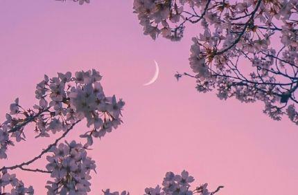 关于友情不伤感的句子