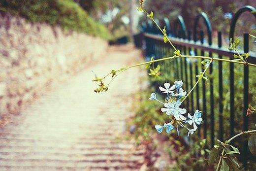 描写伤心的句子短句