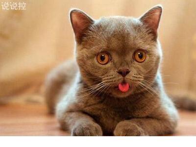 描写伤心的句子短句