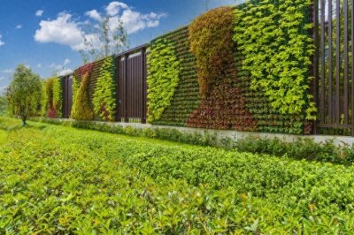 万科创新“垂直森林”住宅亮相!阳台生态设计重塑都市居住体验