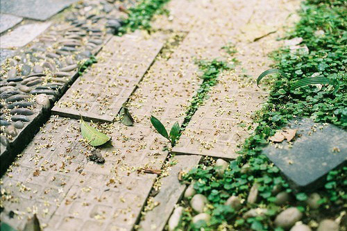 2025年写心情的句子81句