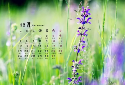 ​自拍搞笑照片发朋友圈的句子-51句