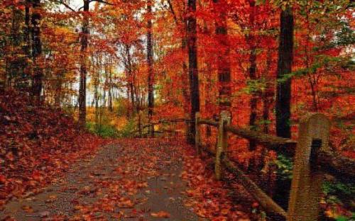 抖音上很火的高冷霸气句子