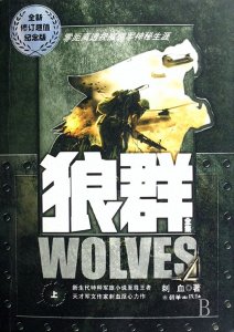 这十本超好看的军文小说,只有狼群让你热血沸腾?锦书小说