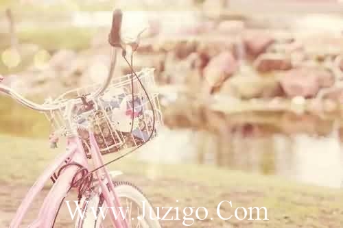 2025年经典结婚祝福语英文