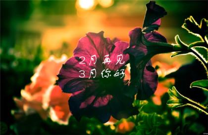 2025年新年伤感说说