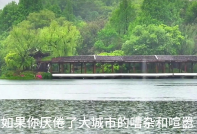 ​王安石的资料