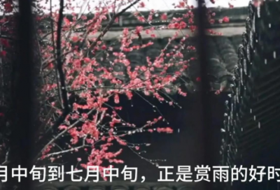 ​伴侣誓言八个字