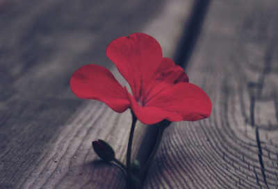 ​给前女友生日快乐