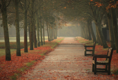 ​悉如外人的悉73句
