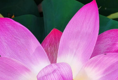 ​四字成语129句精选