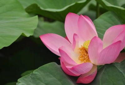 ​通知书家长寄语-60句