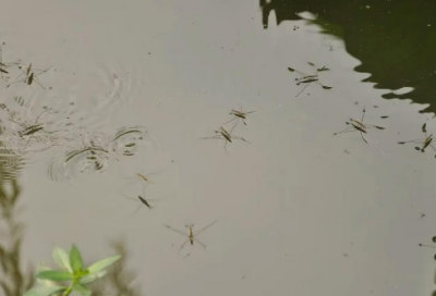 ​承担责任名人简短事例