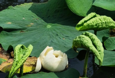 ​老师对学生的新年寄语80句