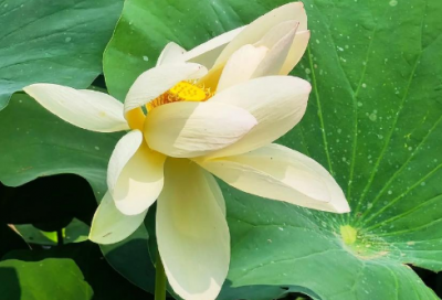 ​工作新年励志寄语