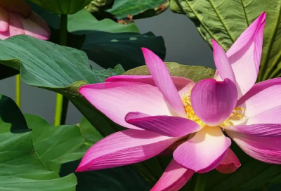 ​qq标签大全8个字