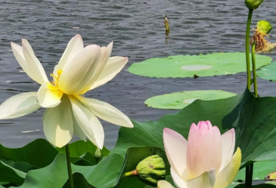 ​聊天经典幽默语句精选113句