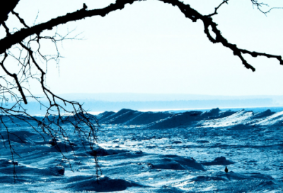 ​沈石溪的资料